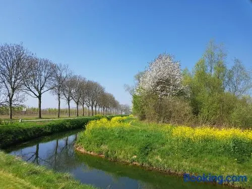 B&B Het Zwanennest - Image 1