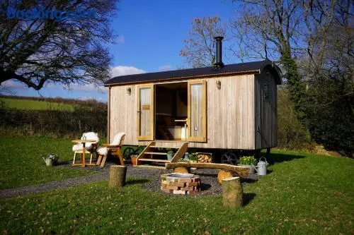 Little Ash Glamping - Luxury Shepherd's Huts - Image 1
