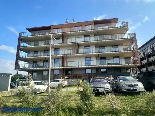 Jagodzianka Apartament - Image 1