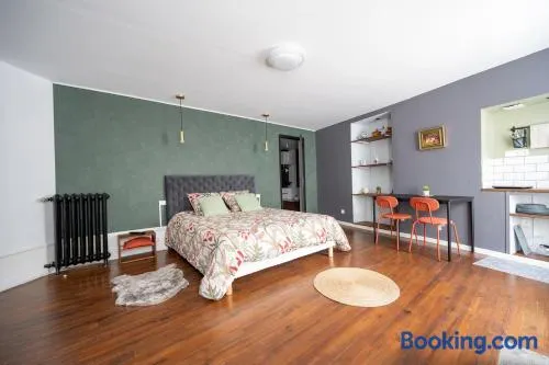Appartement spacieux et élégant avec jardin - Image 1