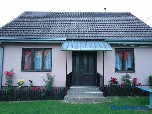 Pantića avlija - Ethno household - Image 1