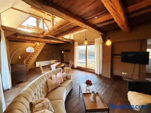 Wellness-Auszeit im Dümmerweserland in idyllischem Ferienhaus inklusive Saunahaus - Image 1
