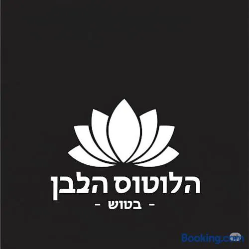 White lotus stay & cafe tosh - Image 1