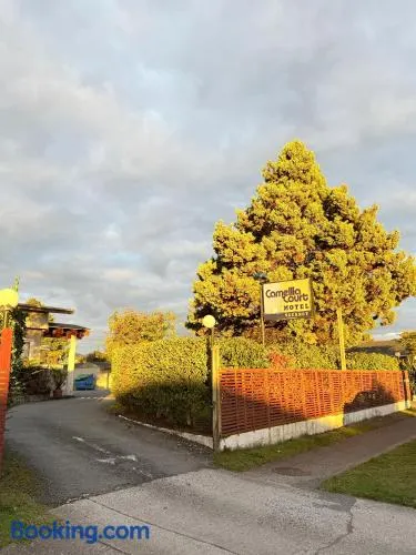 Camellia Court Family Motel - Image 1