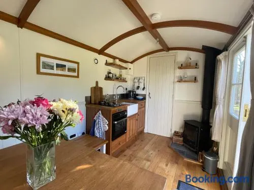 Dartmoor Secluded Shepherds Hut at The Shrubbery, River Walkham, Horrabridge, Yelverton - Image 1