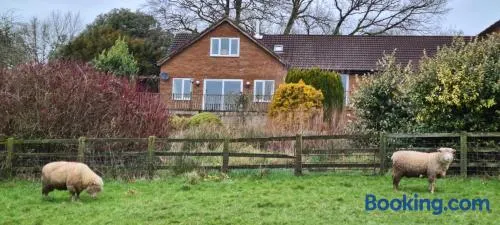 Orchard Cottage - Image 1