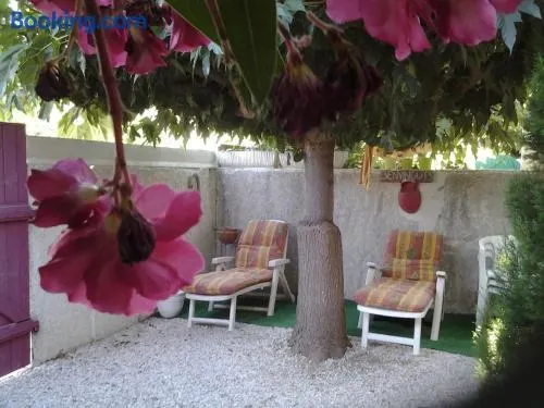 Le patio de Torreilles-Plage - Image 1