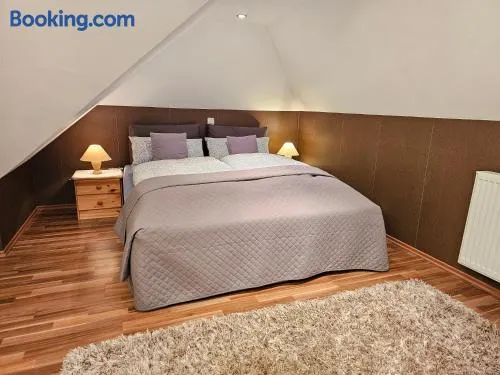 Exclusive Dachgeschosswohnung in Haren/Emmeln - Image 1