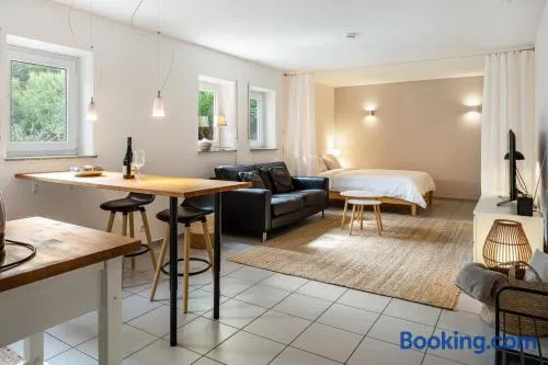 Einzimmerapartment 'Ferienwohnung Vino9' mit privatem Garten und WLAN - Image 1