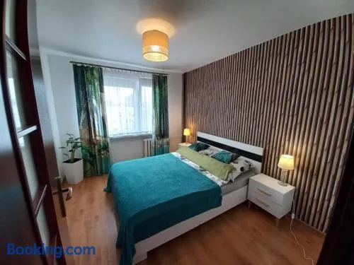 Apartament M-3 - 51m2 - FREE PARKING - Image 1