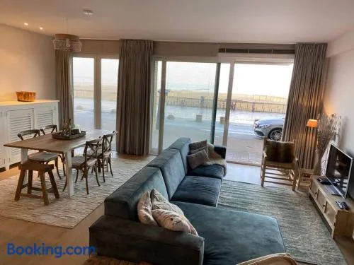 Strandappartement Festival met 2 slpk - Image 1