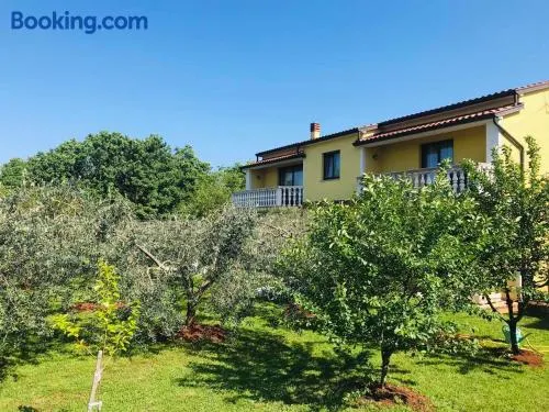 Apartmani Ulika - Image 1