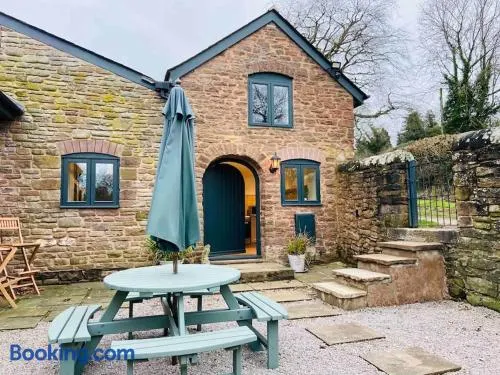 The Owl House Cottage - Image 1