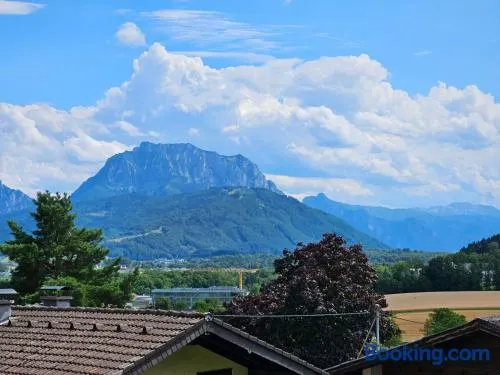 Gemütliche Wohnung in der Nähe von Gmunden - Image 1