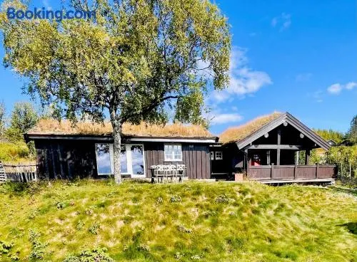 Vasethytta - cabin with a lovely view - Image 1