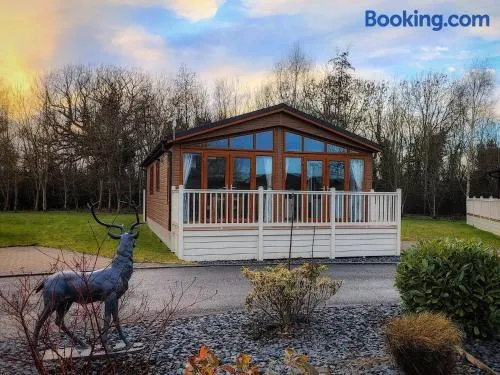 Deneb Lodge with Hot Tub - Image 1