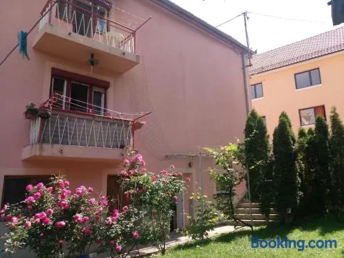 Apartmani Konta - Image 1