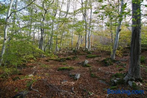 Holiday home Mirador Sierra del Madero - Image 1