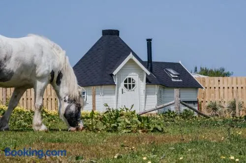 Mawgies - Image 1