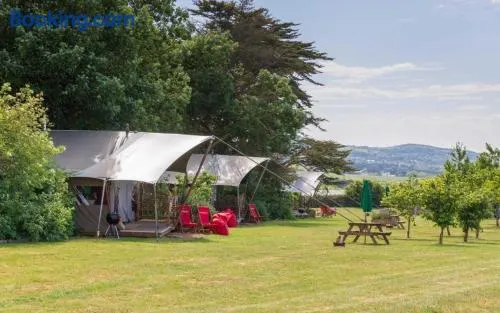 Safari Tent 3 At Tapnell Farm - Image 1