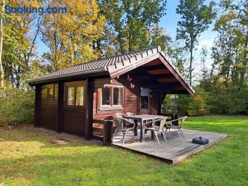 Camping Alkenhaer Appelscha Blokhut Plus - Image 1