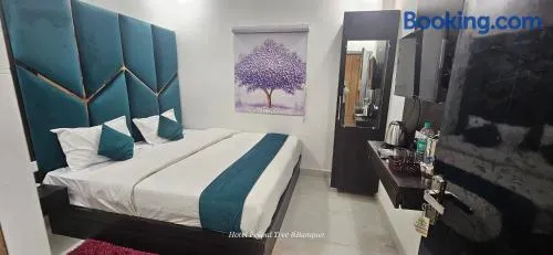 HOTEL PEEPAL#TREE Near Rambag Railway Station -Free Parking And Wi-fi Facilities - A Top Rated Hotel - Image 1