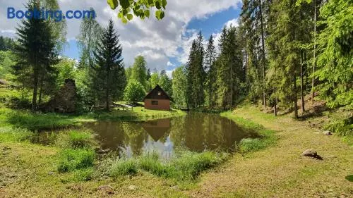GRĪVIŅU pirts - Image 1