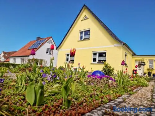Ferienwohnung Zum Seepferdchen - Image 1