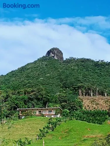Bosque Místico - Image 1