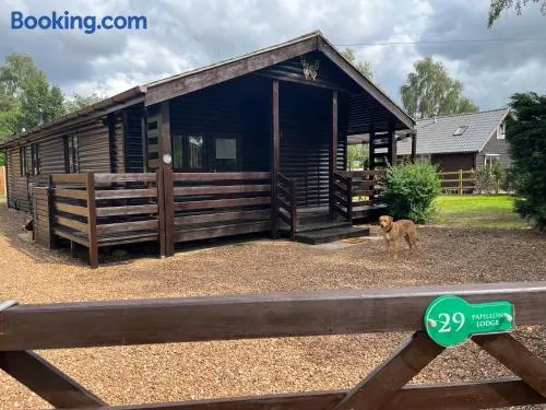 Cheerful 3-bedroom cabin with hot tub - Image 1
