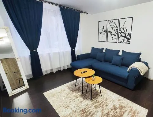 CID APARTMENT CAVNIC - Image 1