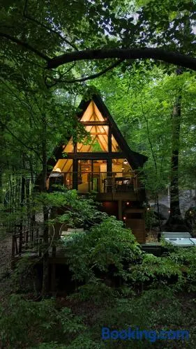 Wilewood A-Frame, Romantic Treehouse Getaway, Hot Tub - Image 1