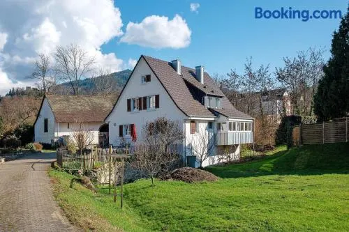 Ferienwohnung Alte Zainschmiede - Image 1