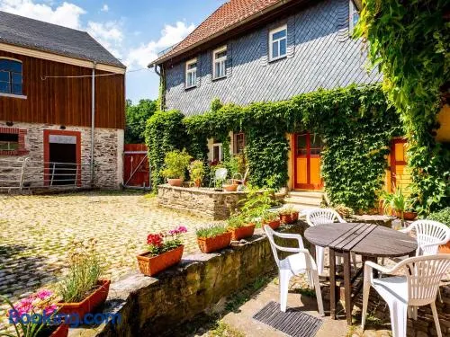 Kinderfreundliche Ferienwohnung mit Terrasse, Grill und Garten - Image 1