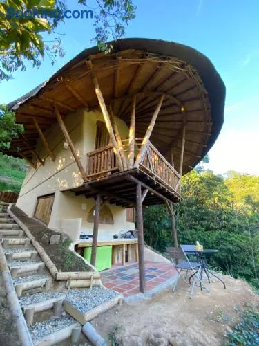 Macuá, Refugio del bosque - Image 1