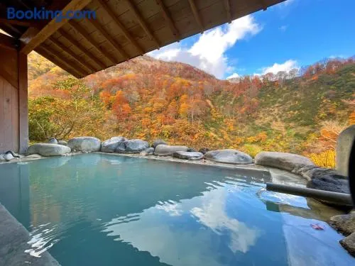 秘湯花文 - Image 1