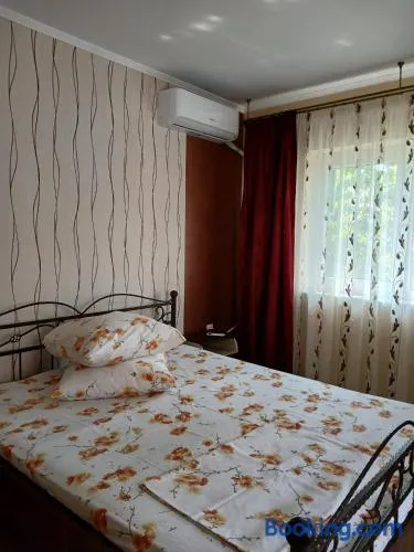 Vila cu Flori - Image 1