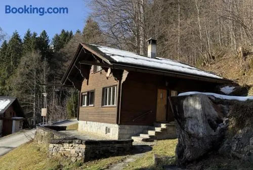 Revier am Waldrand - Image 1