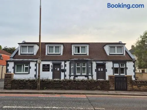 Lavender Guest House, Near Royal Infirmary, Edinburgh - Image 1