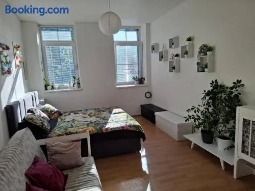 Apartmán u parku - Image 1