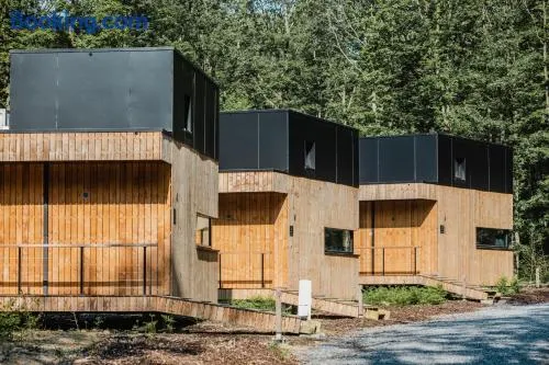 Forest Cube Signature - Image 1