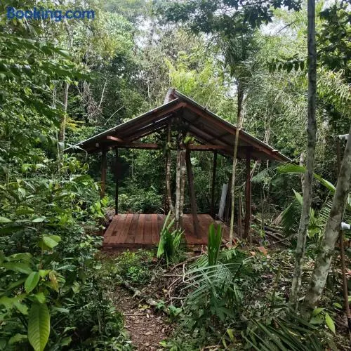 Camping AlterArte Ecovila - Image 1