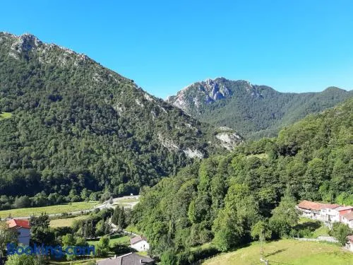 El Mirador de Redes, Campo de Caso, Asturias - Image 1