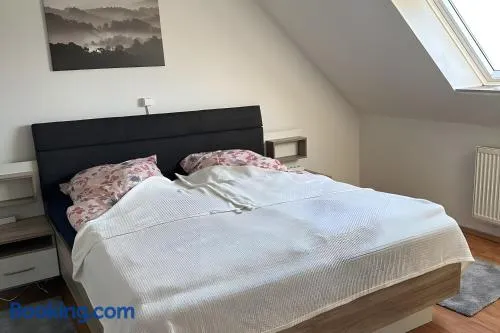 Vacation Apartment Haren Ems For Up - Image 1