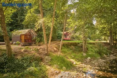 Big Sur Campground and Cabins - Image 1