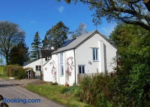Golden Square Holiday Cottage - Image 1