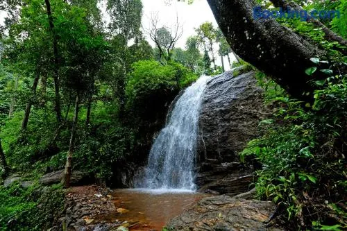 Karadikallu Homestay - Private Waterfalls, Trek, Hill Top, Home Food - Image 1