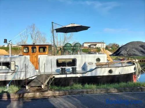 Reflets d'oise - Image 1