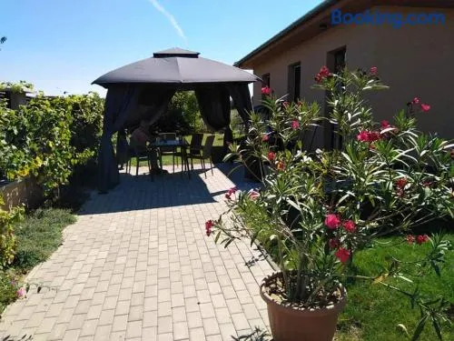 Szederszem Apartman - Image 1