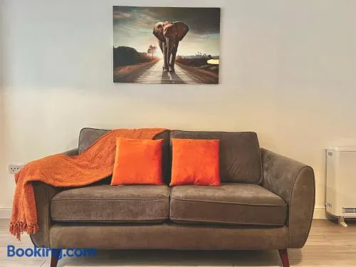 Shazeal Apartment Tipton - Image 1